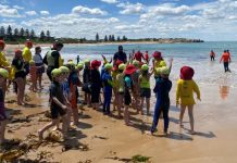 Nippers hit surf in preparation for state titles