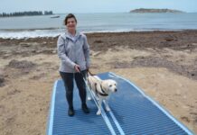 Inclusive council initiative