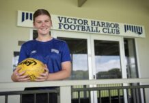 Millard is pick of the coaching bunch