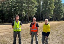 Forestry in the Fleurieu set to benefit