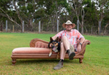 Music returns to front yard