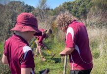 Funding for environmental gain