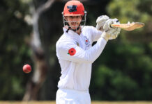 Cricketer of the Year awards