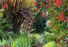Open garden in Willunga