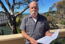 How do council areas want to be represented