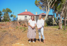 Protection plan needed for iconic trees