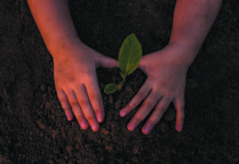 Tree giveaway for the next generation