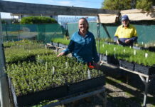 Environmental focus for 23 years