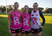 Power strikes Fleurieu again