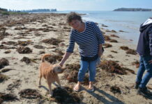 Trial for unleashing of dogs