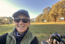 Drop in, have your say