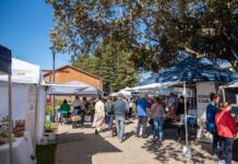 Search for new market manager