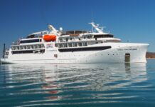 Another cruise ship to visit