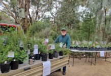 Open day at Nangawooka