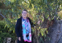 Consultation on environment