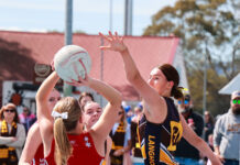 Netball Grand Final Action