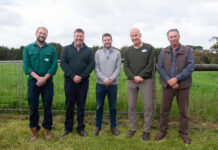 Rebuilding red meat industry after dry season