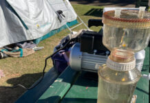 Scientists’ cluey approach to tailing fish