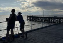 Fishing limits cut to support populations hit by algal bloom