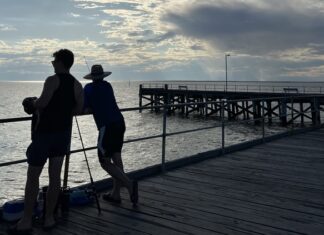 Fishing limits cut to support populations hit by algal bloom