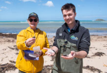 Putting mussel sites to bed