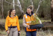 Do you care for the environment?