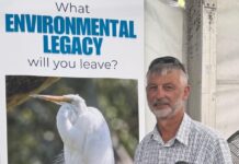 Environment targets need to be stronger