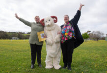 Yankalilla Show is here