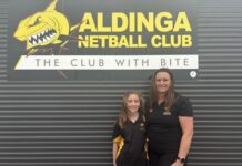 Plans to pivot towards a new southern netball hub