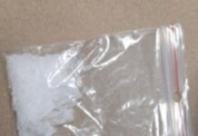 Pair arrested on drug and firearms charges