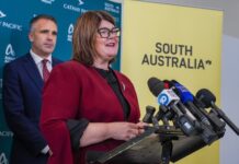 Grants available for events in algae-affected regions