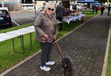 Beachside Markets on the Espy