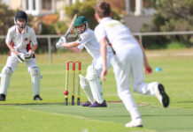 Junior cricketers in action