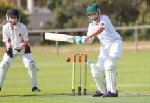 Action from junior cricket