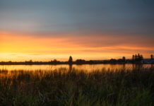 Alexandrina, Through Your Eyes