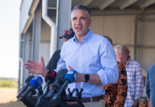 Premier rules out subsidising Horse Drawn Tram operations