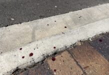 Man arrested over attempted murder in Victor Harbor