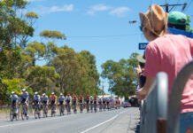 See the stages: Tour Down Under back on the Fleurieu