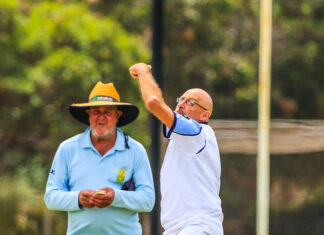 Big hitter Diener smacks a century