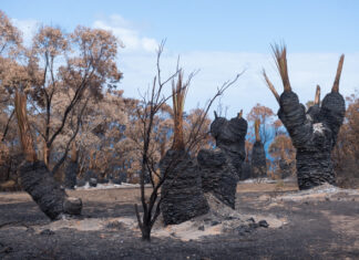 Deep Creek declared ‘safe’ 22 days after igniting