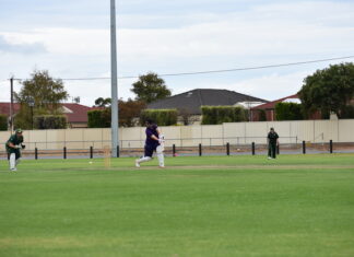 Schreiber leads Falcons to victory over Marion