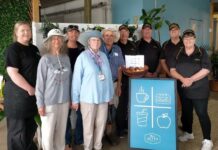 Keeping the Plovers safe