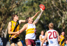 Roos have no bounce