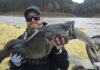 Oh my cod: Unbelievable catch at Myponga Reservoir
