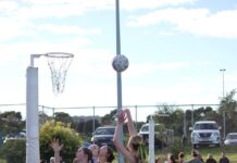 Association Netball Action