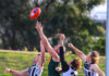 Magpies had Mudlarks in their sights