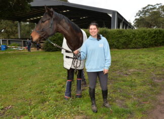 Equestrian training day