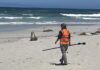 H5 bird flu arrives in Australia